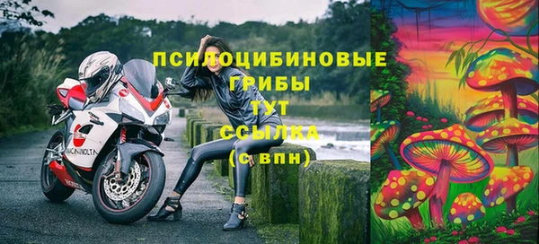 бутират Верхний Тагил