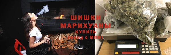 PSILOCYBIN Бородино