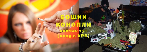 PSILOCYBIN Бородино