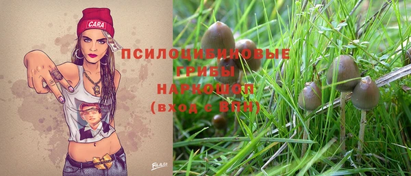 дурь Бугульма