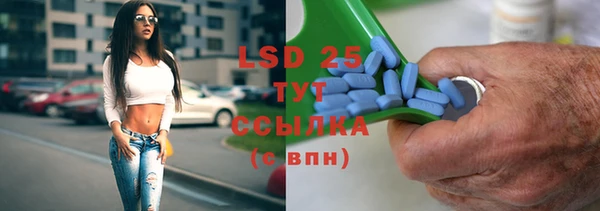PSILOCYBIN Бородино