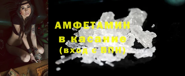 PSILOCYBIN Бородино