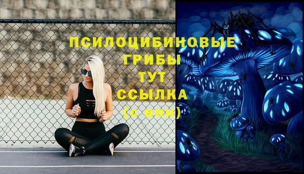 прущая мука Богданович