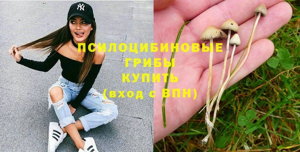 PSILOCYBIN Бородино